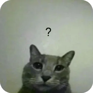 Sticker random @mokryi_hleb - 5