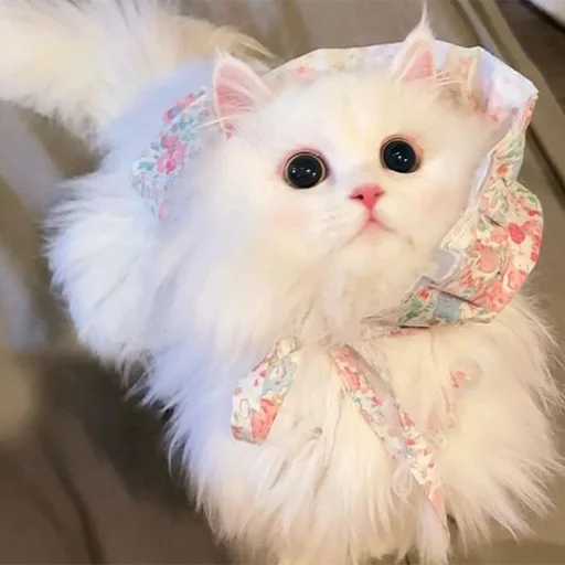 Sticker RandomNeko - 1