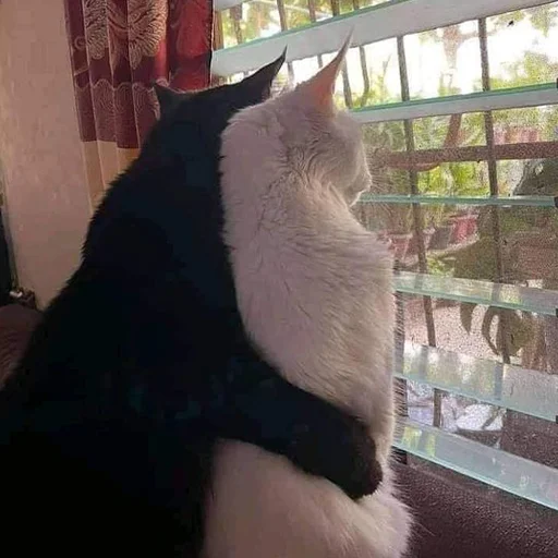 Стикер RandomNeko - 1