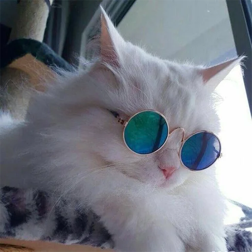 Стикер RandomNeko - 1