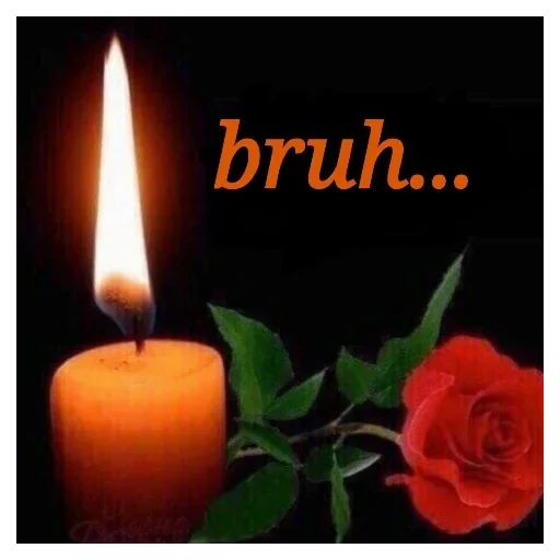 Стикер Случайный Стикерпак :: @fStikBot - 5