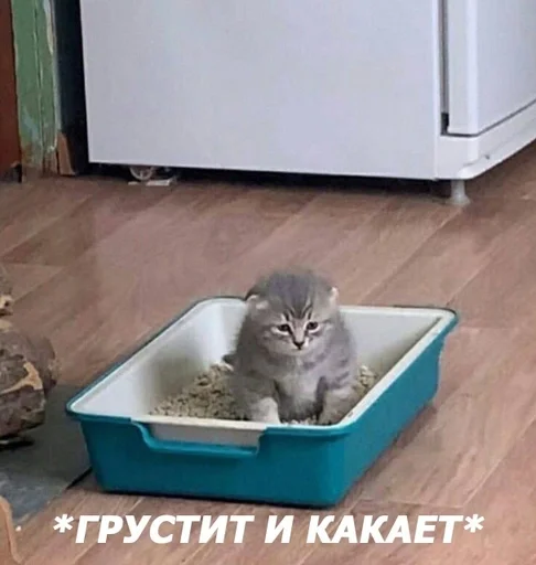 Стикер Случайный Стикерпак :: @fStikBot - 3