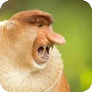 Стикер Рандом стикеры - 4