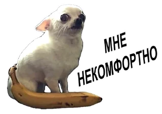 Sticker Мои мемесы - 7