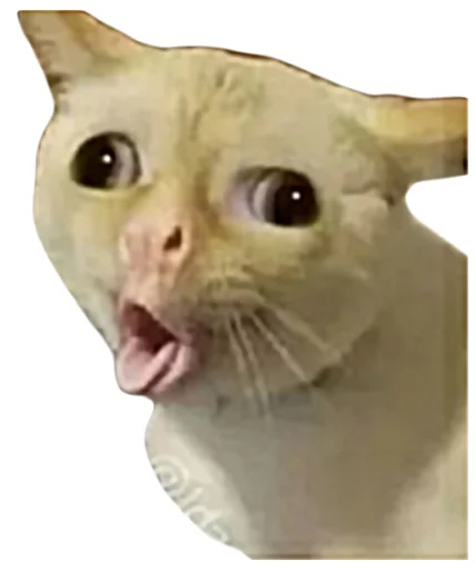 Sticker Randomemez - 1