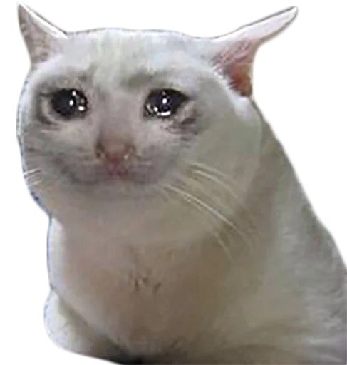 Sticker Randomemez - 1