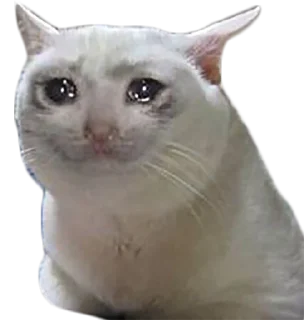 Sticker Мои мемесы - 6