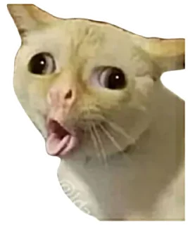 Sticker Мои мемесы - 11