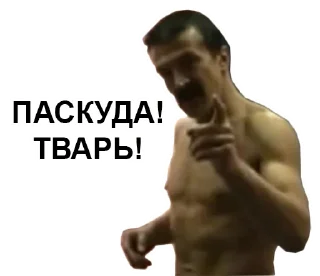 Sticker Мои мемесы - 9