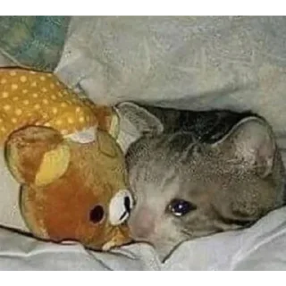 Стикер Random shit by @Red_Cold_River - 4