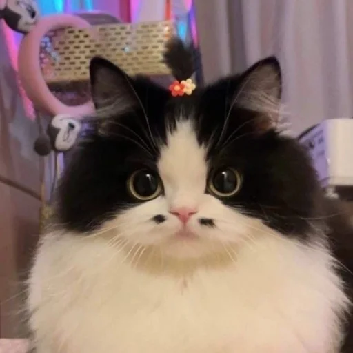 Sticker Randomshitfrommypc - 1