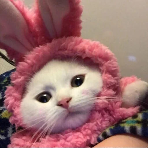 Sticker Randomshitfrommypc - 1