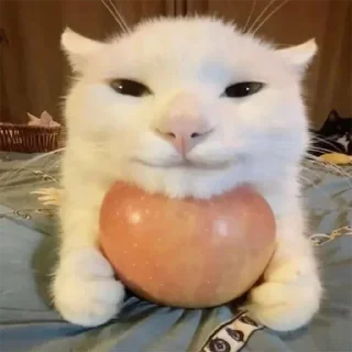 Стикер Малиновий Вирій - 2