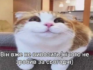 Стикер Малиновий Вирій - 6