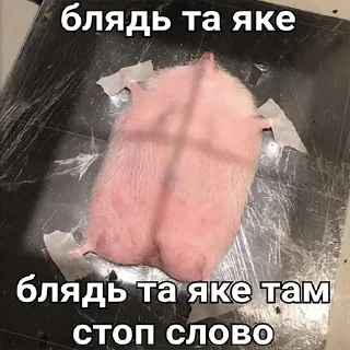 Стикер Малиновий Вирій - 11