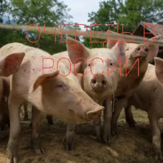 Стикер Великая расея - 11