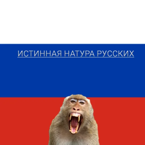 Стикер Rassia_parasha - 1