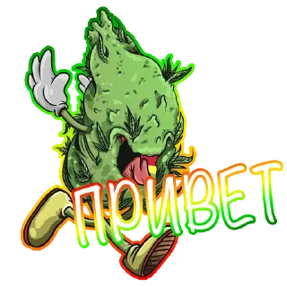 Sticker Rasta klad from Sativa - 7