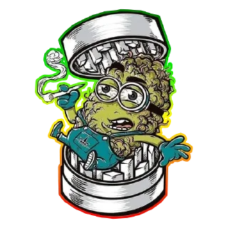 Sticker Rasta klad from Sativa - 10