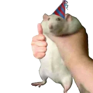 Стикер Крыса - 1