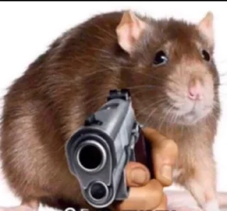 Стикер Крыса - 4