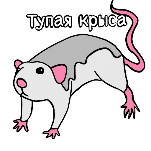 Стикер Rat_20_q - 1