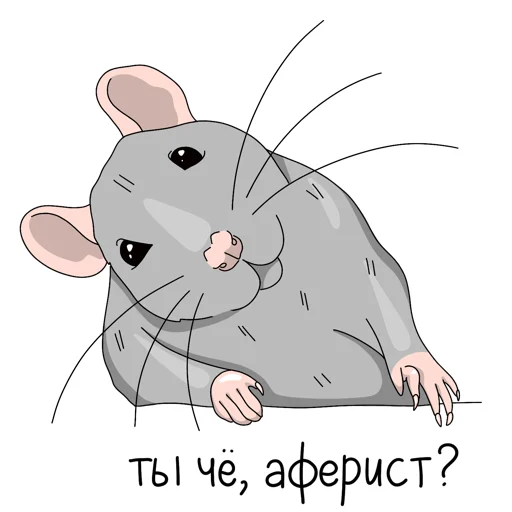 Крыса - 
