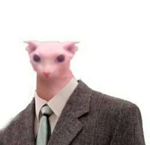 collar animal person