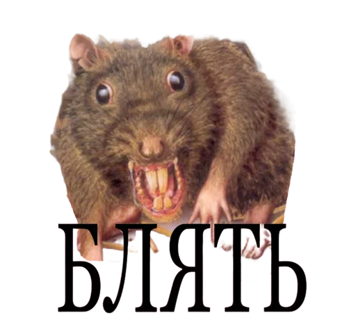 Sticker Ratvibe - 1