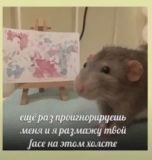 Sticker RISOVASHI - 9