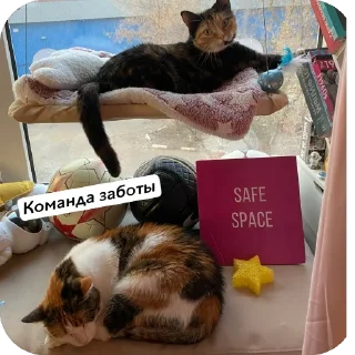 Стикер Raver rights - 8