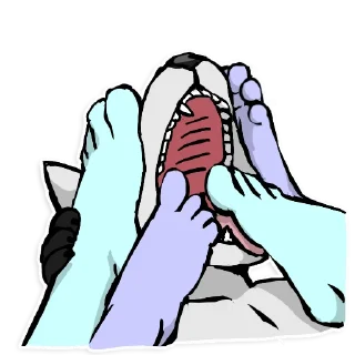 Sticker Ravi Foot Frenzy - 5