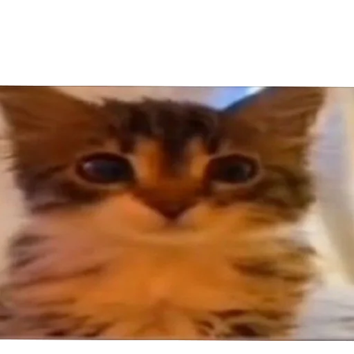 Разбили меня болгаркой - 