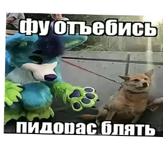 СМС животное скриншот