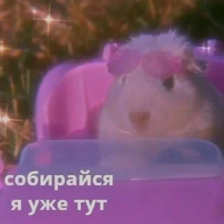 Sticker @wowrf Общение - 3