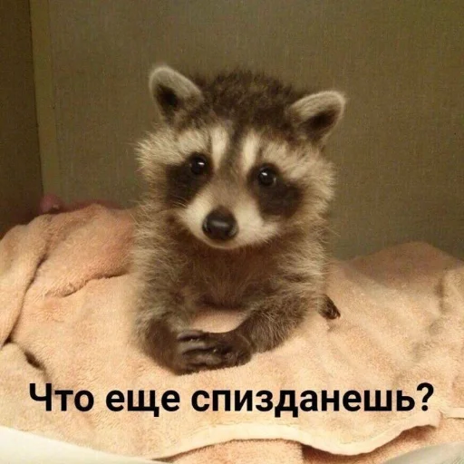 лучшие пикчи —-> @loveinpic - 