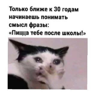 Sticker Разное и прикольное - 3