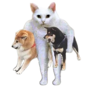 Sticker Разное любимое - 2