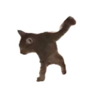 Sticker Разное любимое - 1