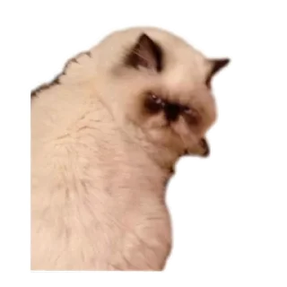 Sticker Разное любимое - 6