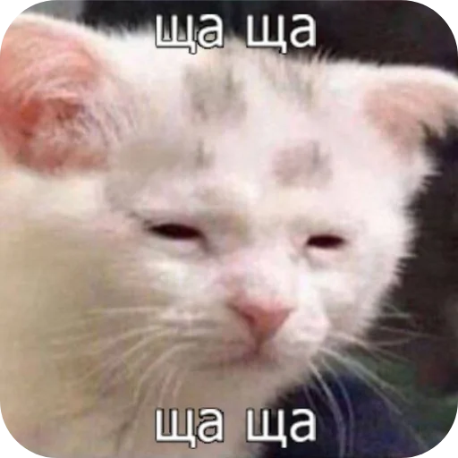 Sticker RaznosDlyaEHli - 1