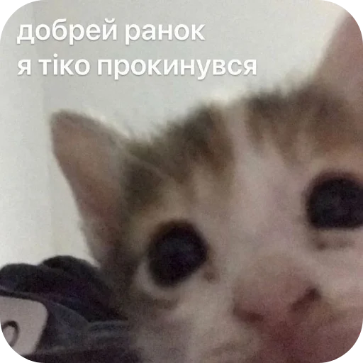 Sticker RaznosDlyaEHli - 1