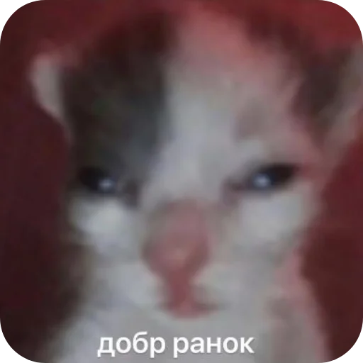 Sticker RaznosDlyaEHli - 1