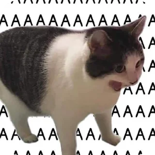 Стикер Разнос для Эли - 11