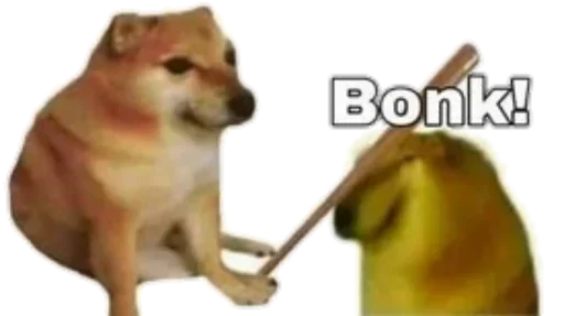 dog breed animal pet