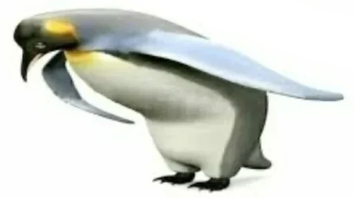 животное водная птица птица