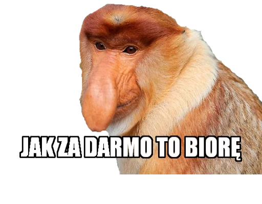 животное млекопитающее СМС