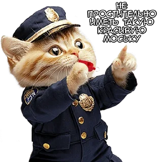 Стикер Кот-полицейский @Nyasticks - 10