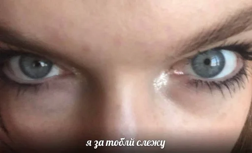 взор ресница Макросъемка