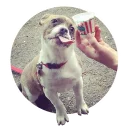 Sticker Rebekah Marine - 4